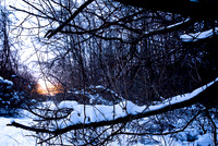 shiawassee_feb-2008_01