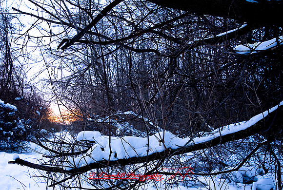 shiawassee_feb-2008_01
