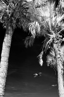 florida-infrared-images-2011-09