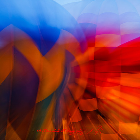 midland-balloon-2013-43