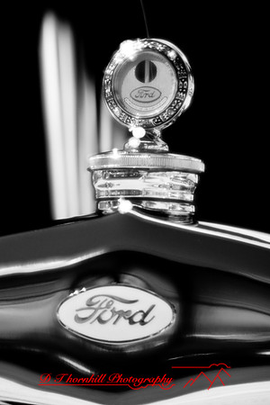 muth-car-show-infrared-2008_69