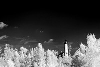 tawas-state-park-infrared-2008_020