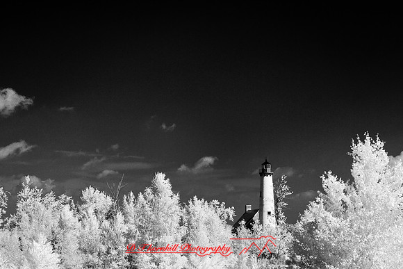 tawas-state-park-infrared-2008_020