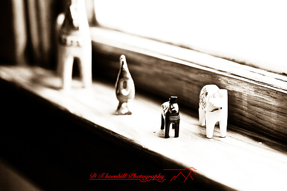 assorted_images-2007-35