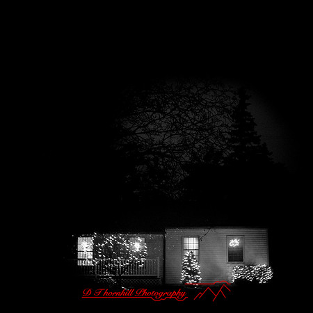 Saginaw-2019-christmas-020