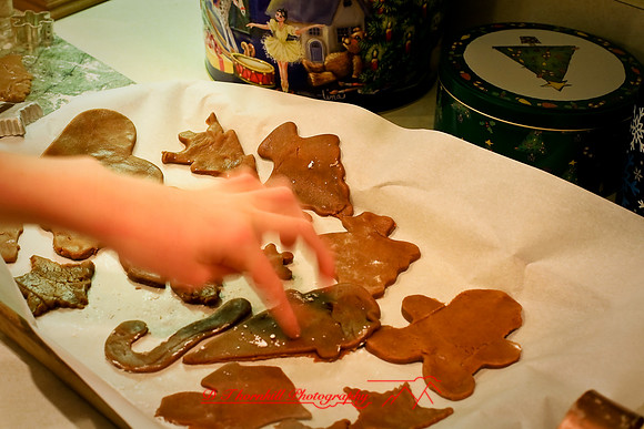 christmas_2007_jessica-087.jpg