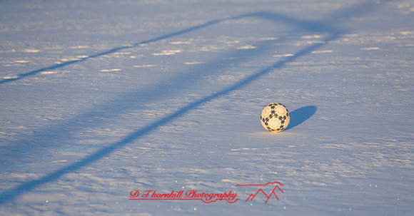 jghs-gs-dreams-2008_01.jpg