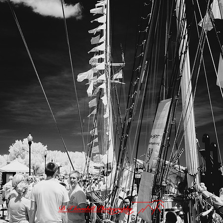 bay-city-tall-ships-2013-099