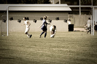 jghs-gs-lake-fenton-2009_08.jpg