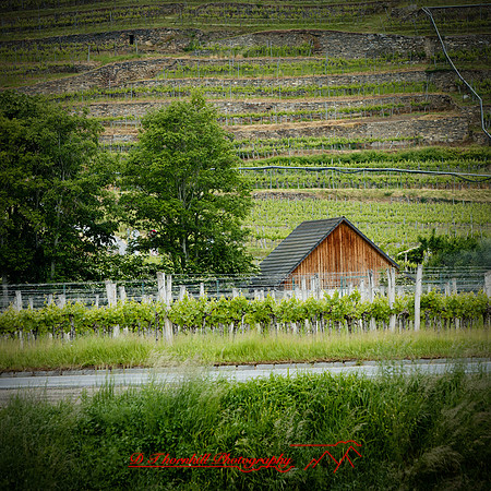 2025 - river cruise - 321_DxO