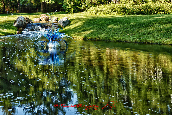 assorted_images-2011_29-01_HDR