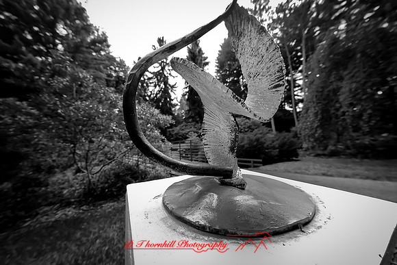 dow-gardens-2010_32-nik