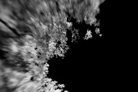 infrared-2009-nature_10.jpg