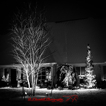 saginaw-christmas-2017-001