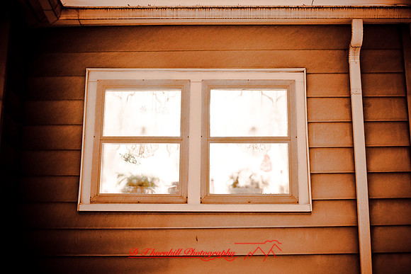 assorted_images-2007_109