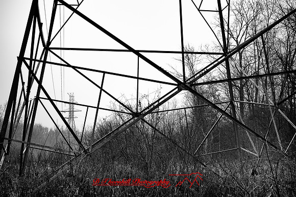 shiawassee_nov-hdr-2010_4-2_HDR