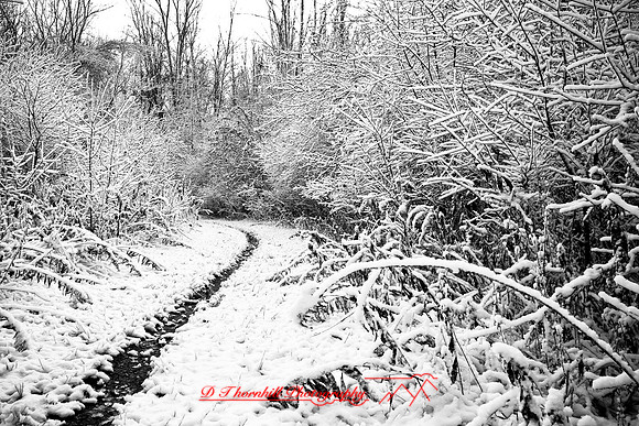shiawassee_november_2007-01
