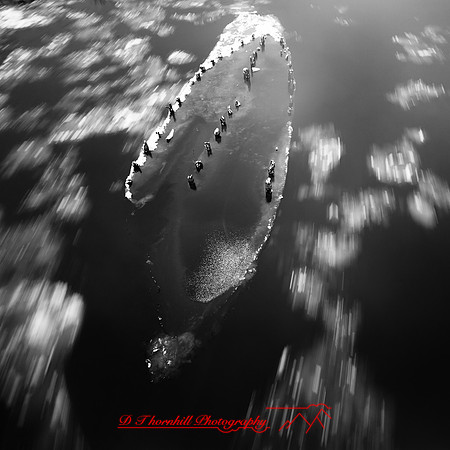 shadow-light-project-river-ice-2014-019
