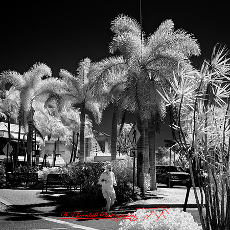 FL-March 2018-151_DxO
