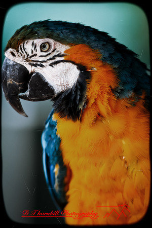 saginaw-zoo-2011-04-nas