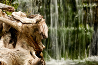assorted_images-2011-147-nas