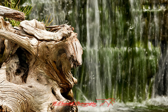 assorted_images-2011-147-nas