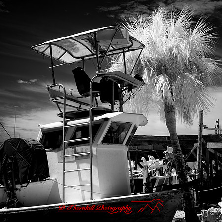 FL-March 2018-177_DxO