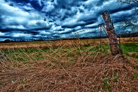 assorted_images-2011_22-02_HDR
