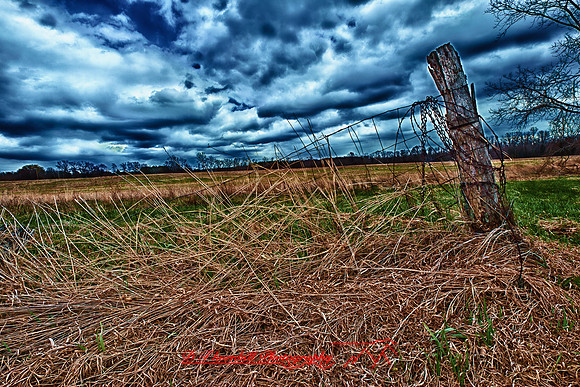 assorted_images-2011_22-02_HDR