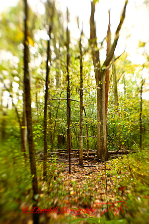 shiawassee-oct-2010_25