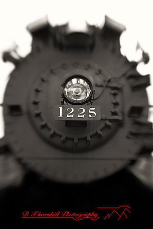 owosso_train-fest-2009_40-nik.jpg