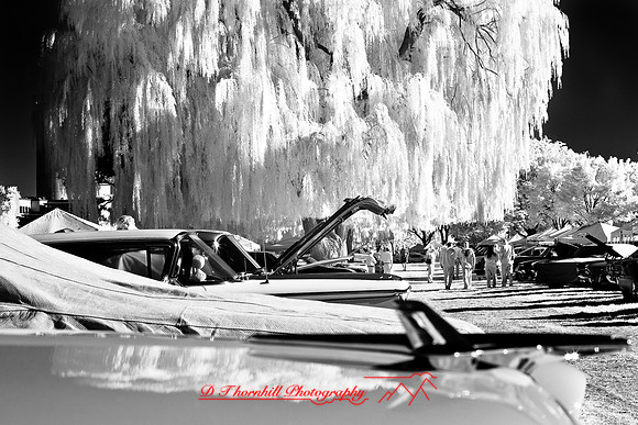 muth-car-show-infrared-2008_10