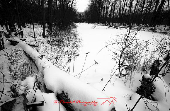 shiawassee-january-2007_003