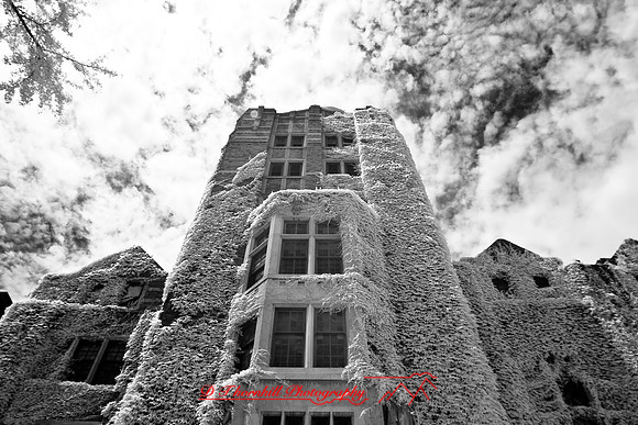infrared-2008_080