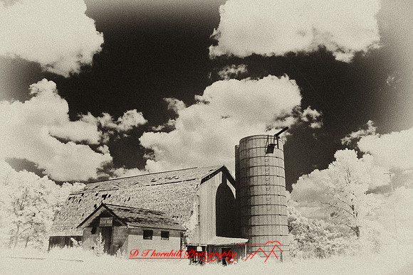 infrared-2009-the_farm_11-nik.jpg