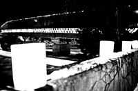 assorted_images-2007_118