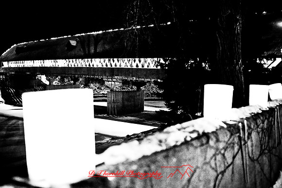 assorted_images-2007_118
