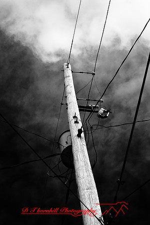 infrared-2009-random_07.jpg