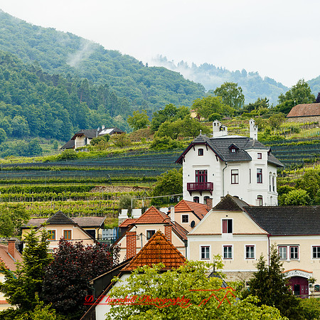 2025 - river cruise - 326_DxO