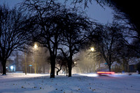 assorted_images-2007_108