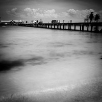 florida-march-2016-091