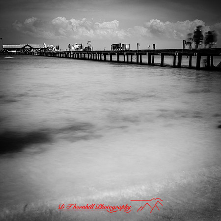 florida-march-2016-091