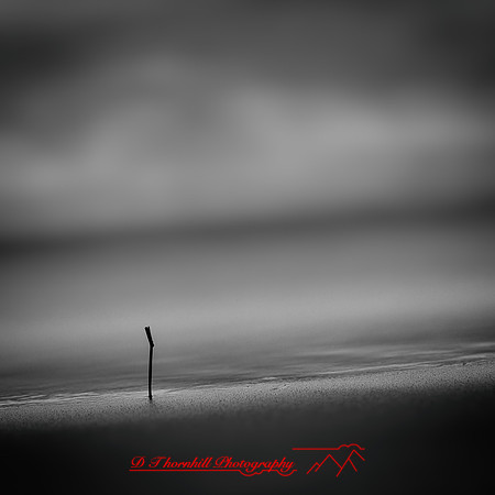 shadow-light-project-tawas-state-park-2014-003-nas