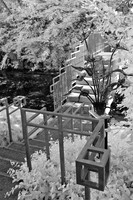 dow-gardens-infrared-2011-14