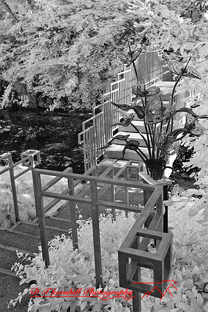 dow-gardens-infrared-2011-14