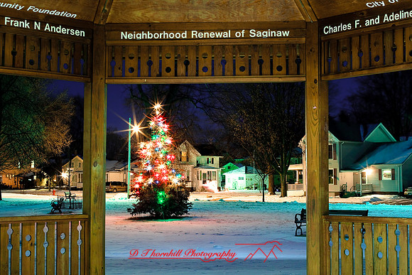 christmas-2009_07.jpg