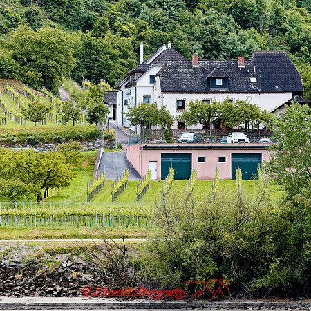 2025 - river cruise - 331_DxO