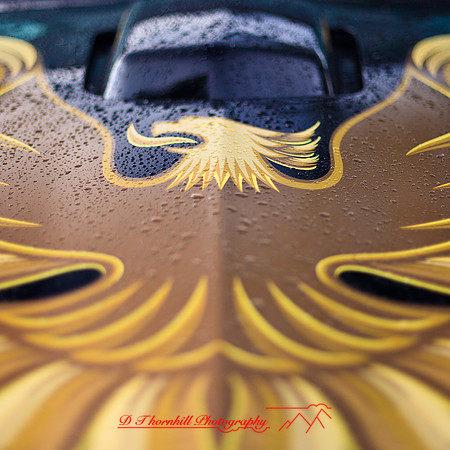 frankenmuth-car-show-2013-17