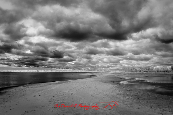 tawas-state-park-infrared-2008_036.jpg