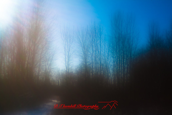 shiawassee_january-2010_05.jpg